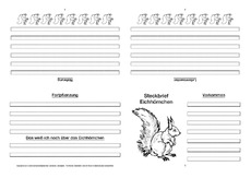 Eichhörnchen-Faltbuch-vierseitig-6.pdf